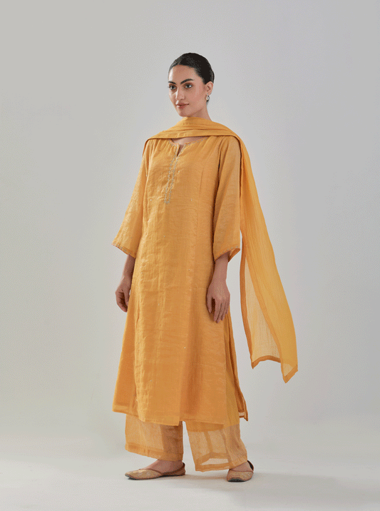 Juanita- Handwoven ochre comfort fit chanderi tissue set with detailing of zari resham