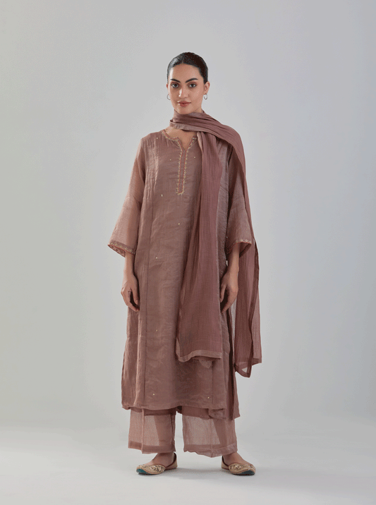 Juanita- Handwoven brown comfort fit chanderi tissue set with detailing of zari resham hand embroidery