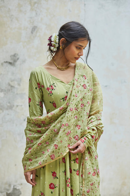 Juanita- Pista green cotton gather anarkali set with embellishment