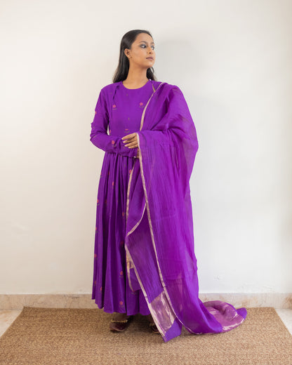 Juanita- Violet Blooming Daisy Anarkali