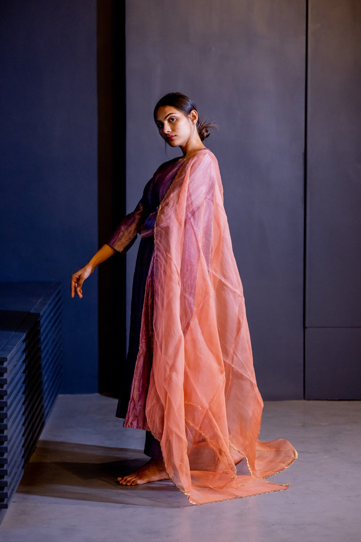Juanita- Handwoven Banarsi Zari set