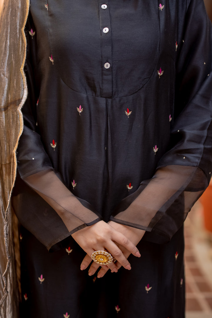 Juanita- Cahnderi Organza Silk Kurta