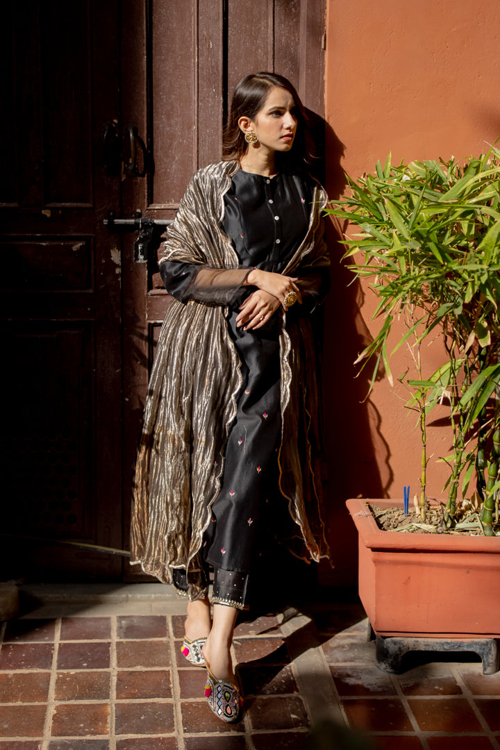 Juanita- Cahnderi Organza Silk Kurta