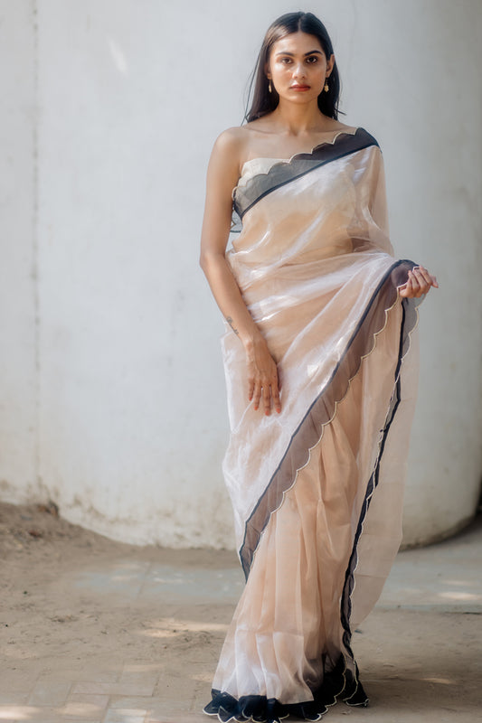 Juanita- Handwoven Tissue Silk Saree in Champange Color with border color