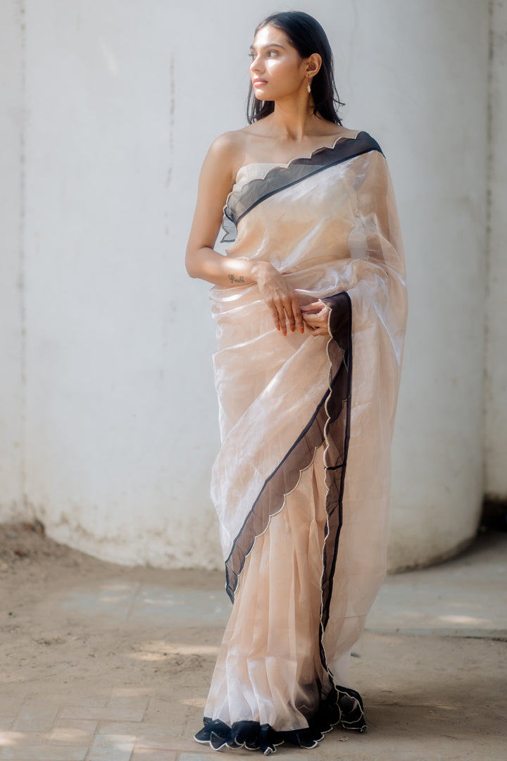 Juanita- Handwoven Tissue Silk Saree in Champange Color with border color