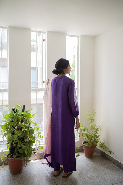 Juanita- Handwoven Banarsi Zari Dress Violet V Neck