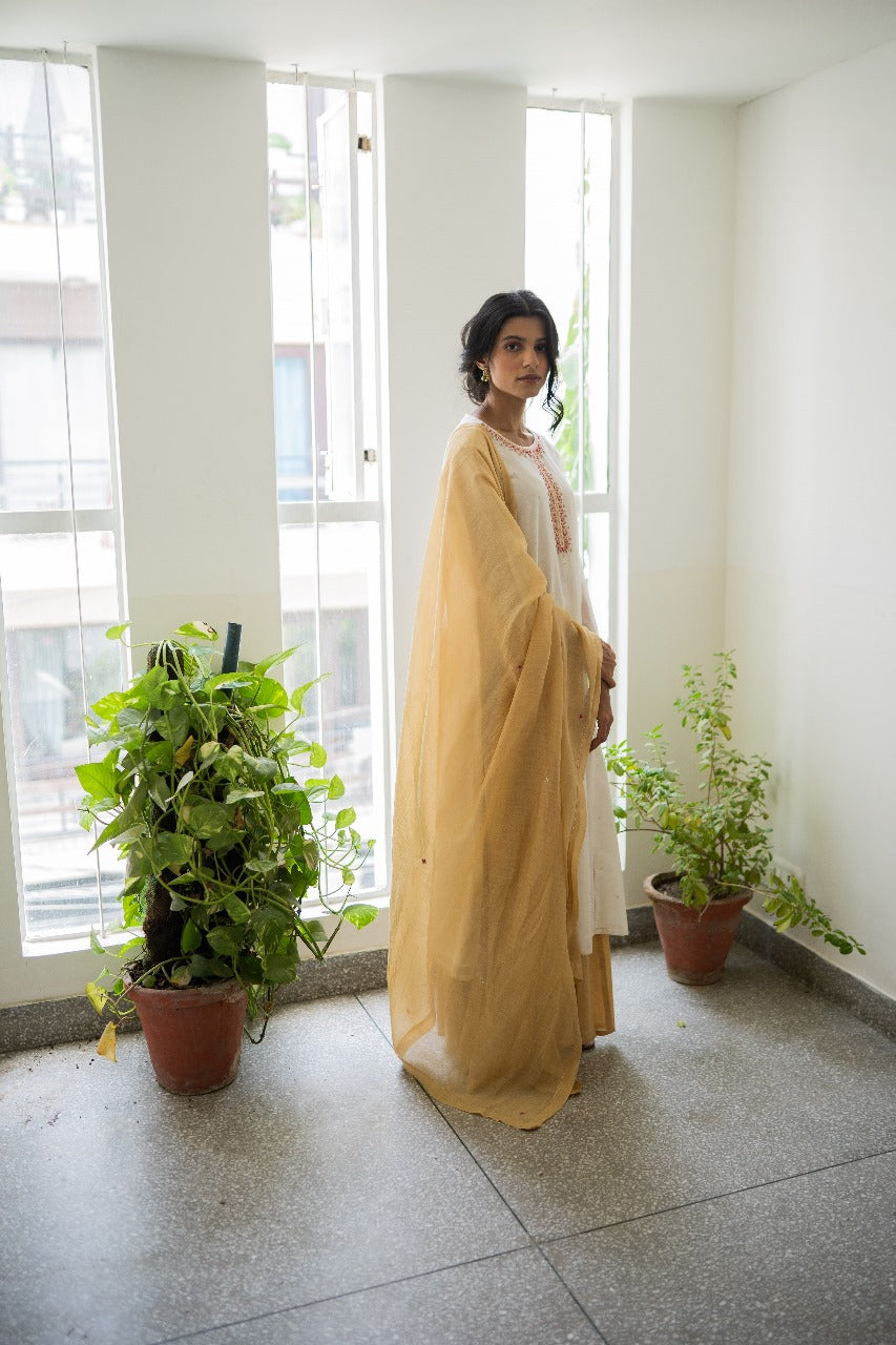 Juanita- Ivory and Gold Combination Kurta Sharara Set